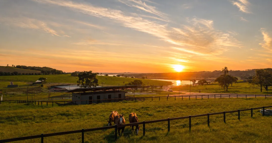 Cavalos no piquete da hípica, com a represa e o pôr do sol ao fundo